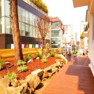 OYO Myeongdong 5 Lodge
